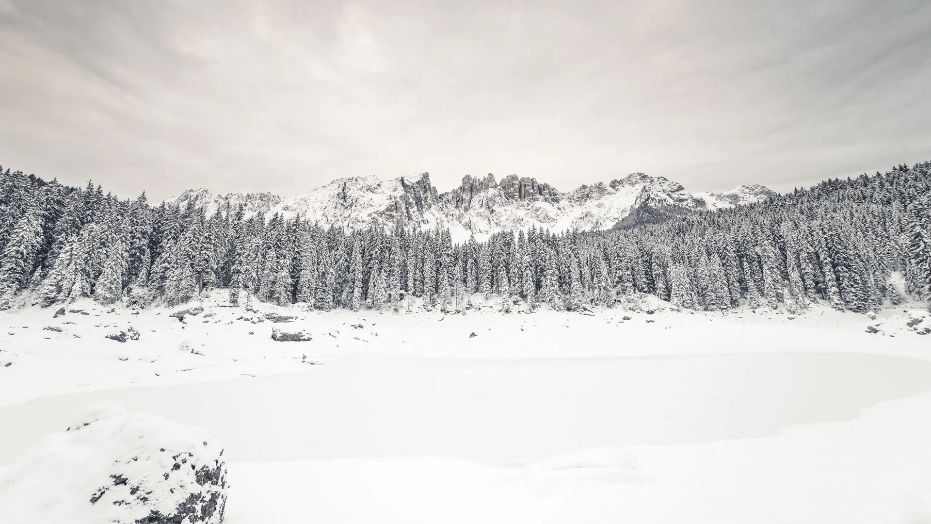 Il Friedrich in foto Foresta innevata e montagne frastagliate sotto un cielo nuvoloso