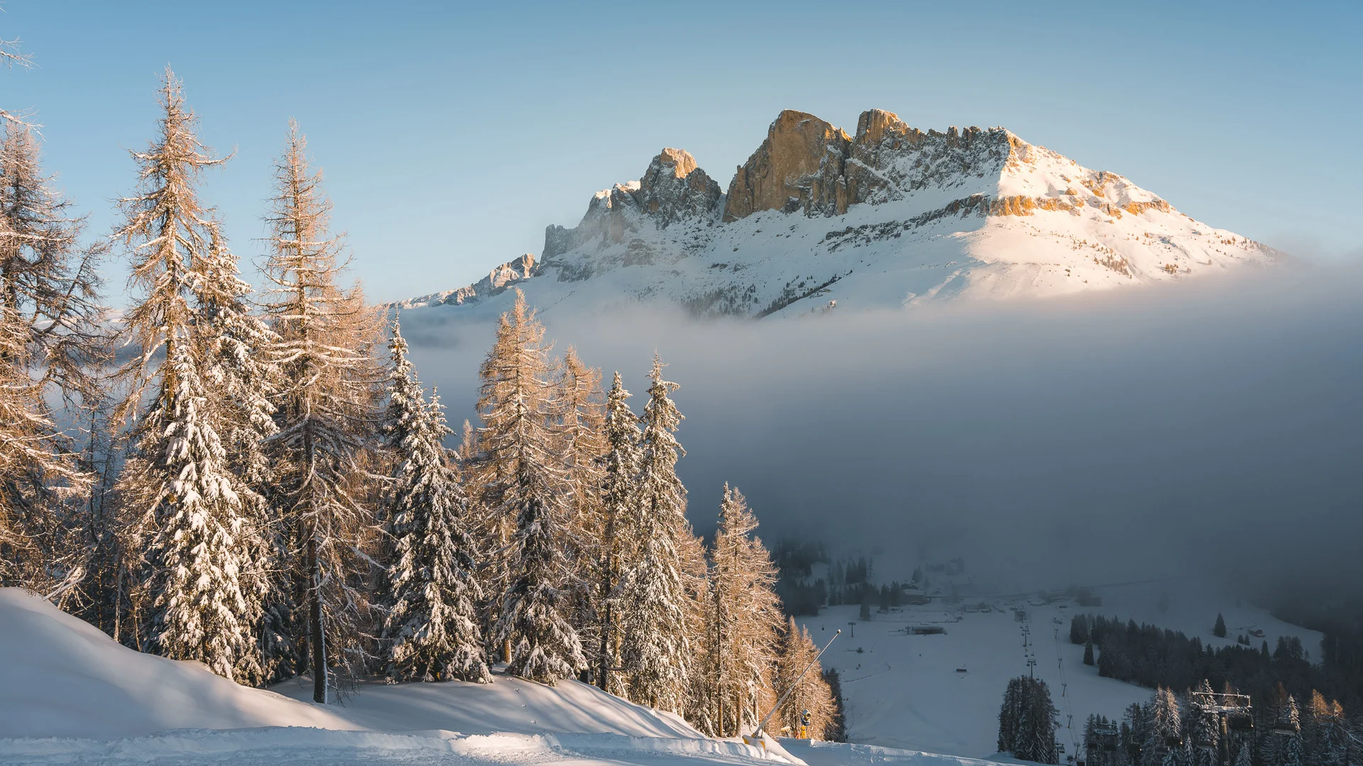 Il Friedrich in foto Alberi innevati e montagne illuminate dal sole sotto un cielo azzurro