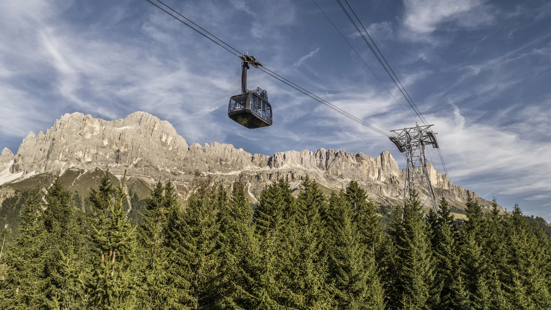 Seilbahn über Tannenwald mit Bergkulisse und bewölktem Himmel