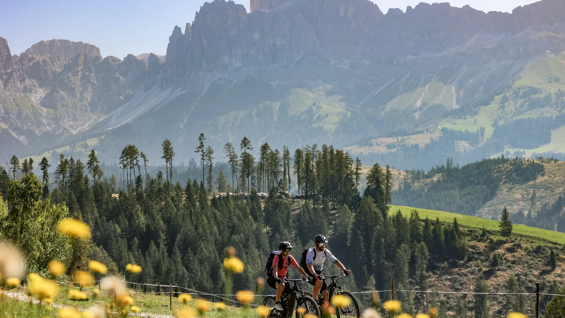 Zwei Mountainbiker in den Bergen mit Wäldern und gelben Blumen