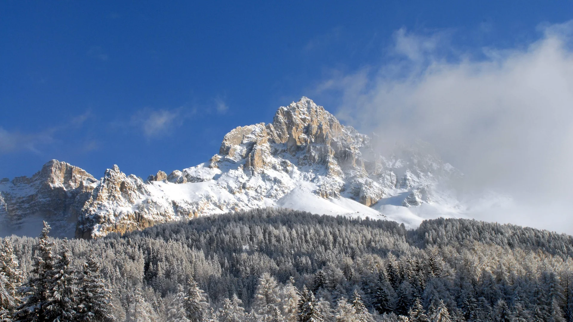 Il Friedrich in foto Cima della montagna innevata con pendio boscoso sotto cielo blu