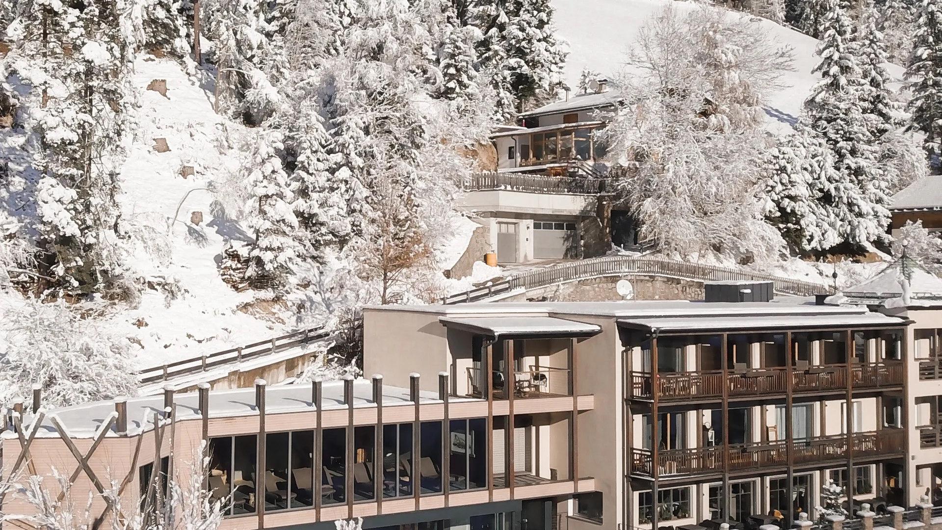 Il Friedrich in foto Hotel moderno circondato da alberi innevati su pendio montano