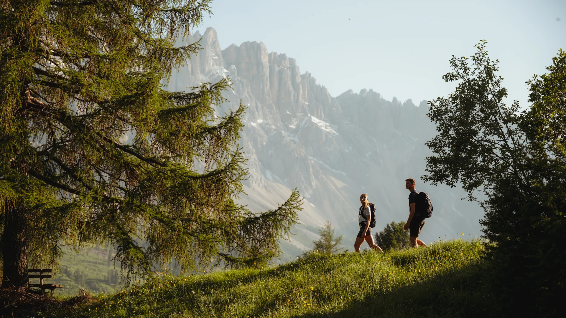 Wanderer auf grünem Hügel vor Bergkulisse bei klarem Himmel