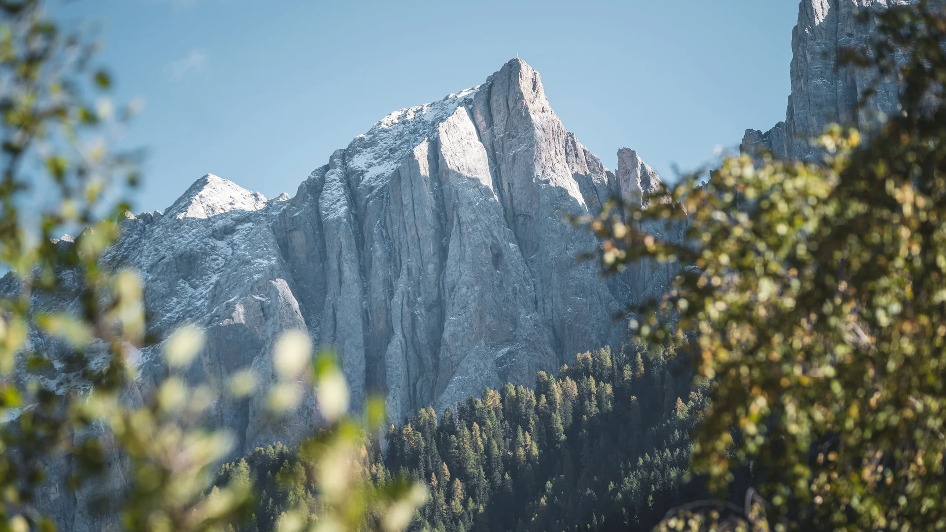 Il Friedrich in foto Cima della montagna innevata con cielo azzurro e foresta in primo piano