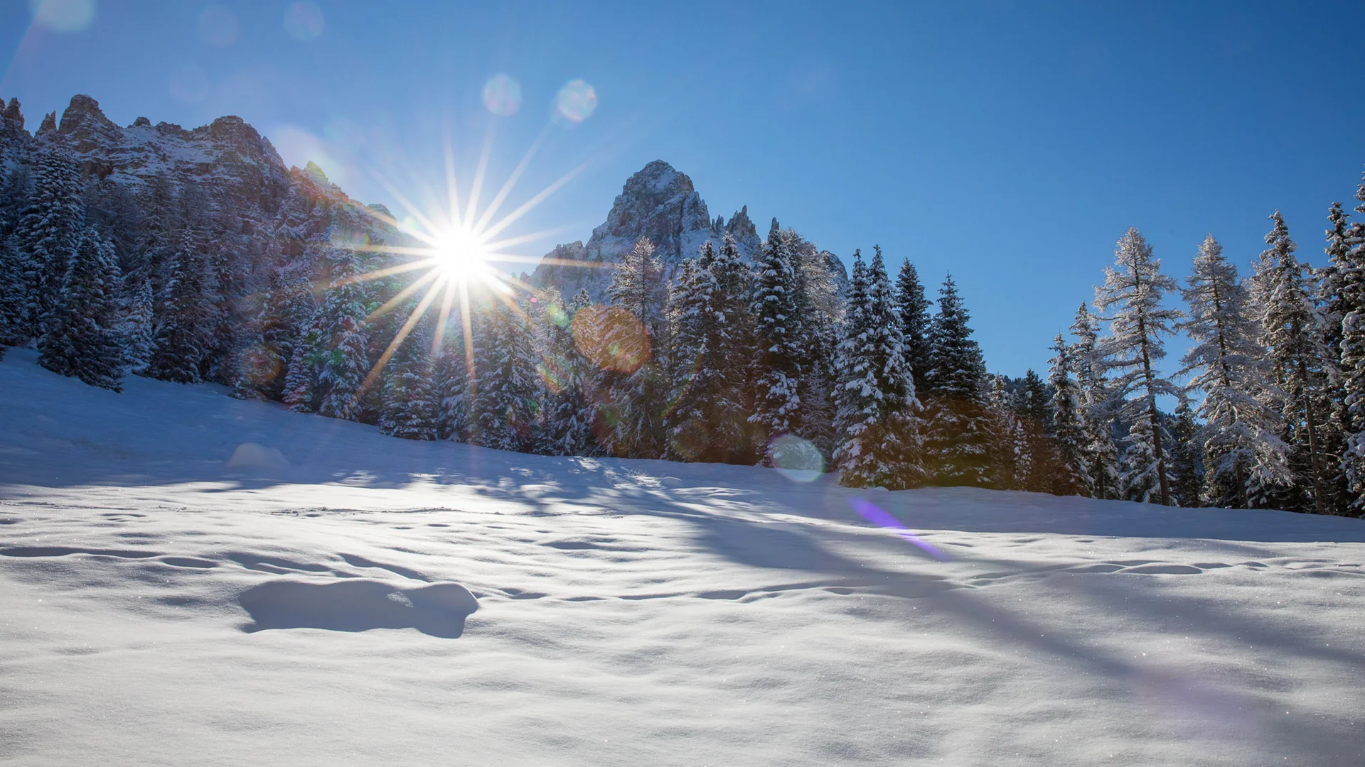 Il Friedrich in foto Raggi di sole su montagne innevate e pini sotto un cielo blu limpido