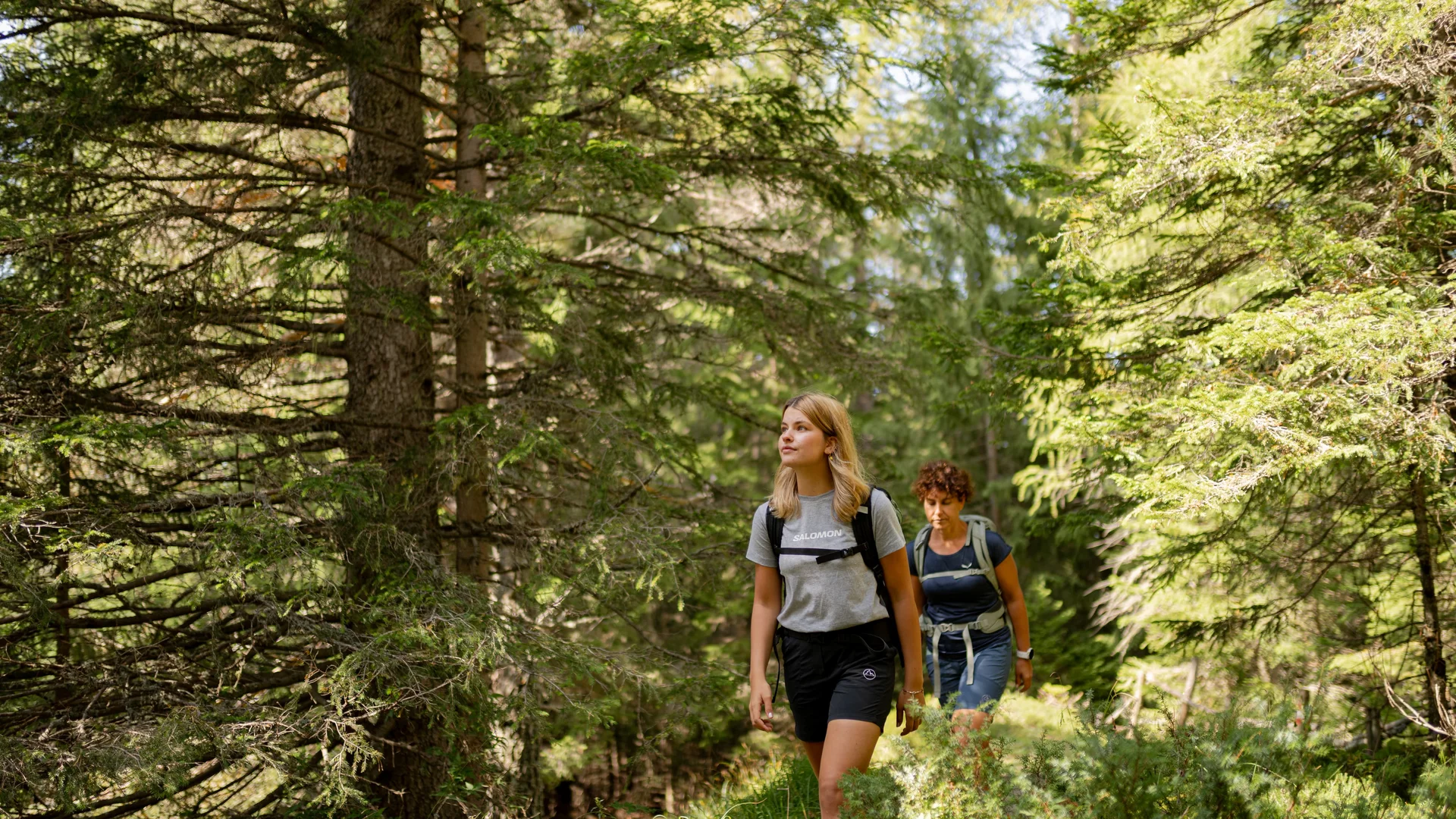 Zwei Frauen wandern auf einem Waldweg umgeben von Bäumen