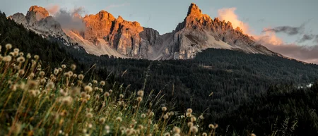 Sonnenuntergang beleuchtet die schroffen Gipfel der Dolomiten mit Wiesen im Vordergrund
