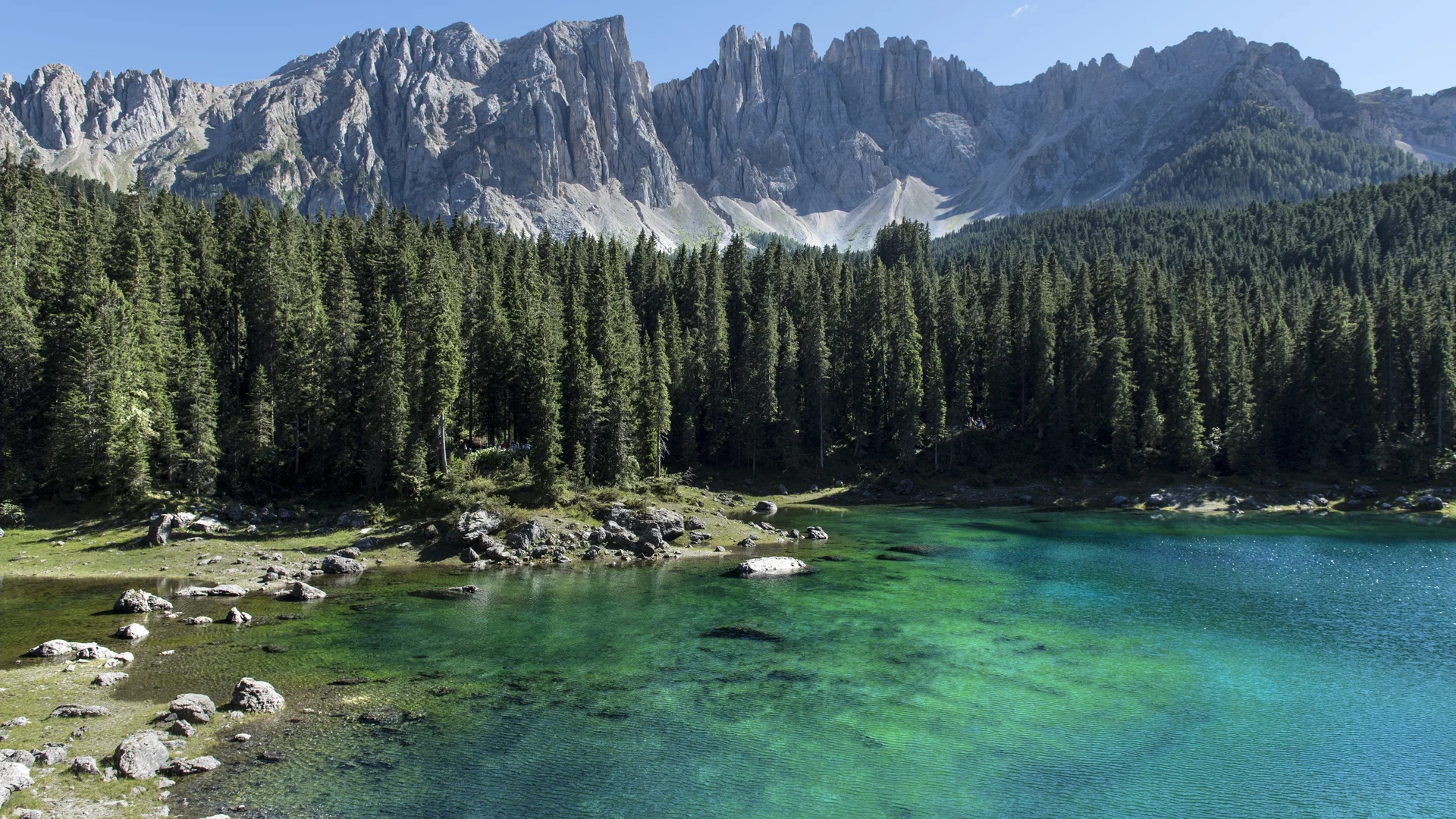 Klarer Bergsee mit Tannenwald und spitzen Felsen unter blauem Himmel